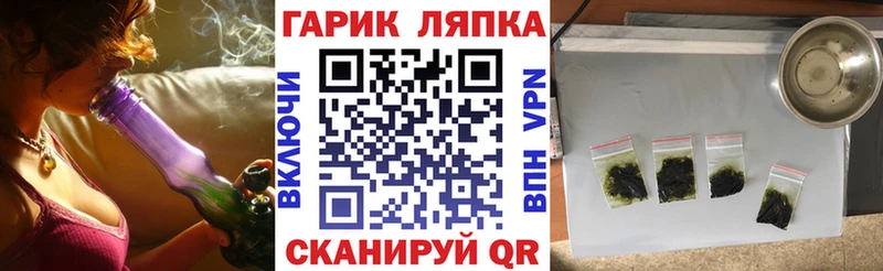 мега ссылки  закладки  Видное  Гашиш индика сатива 