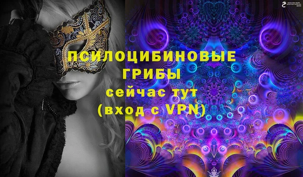 apvp Нефтекумск