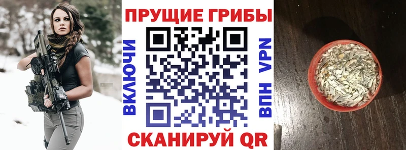 Галлюциногенные грибы мицелий маркетплейс как зайти Видное